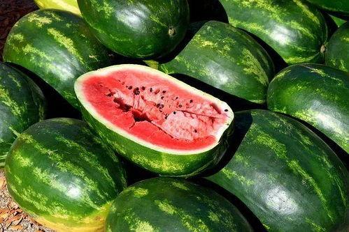 瓜如何吃更更美味一些视频,解锁美味瓜类食用新技巧