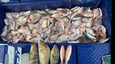 中国吃瓜船捡鱼视频